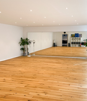 Seminarraum und Bewegungsraum mieten in Schupfart – heller, vielseitiger Raum bei IchBinGesund für Kurse, Workshops und Bewegungseinheiten.